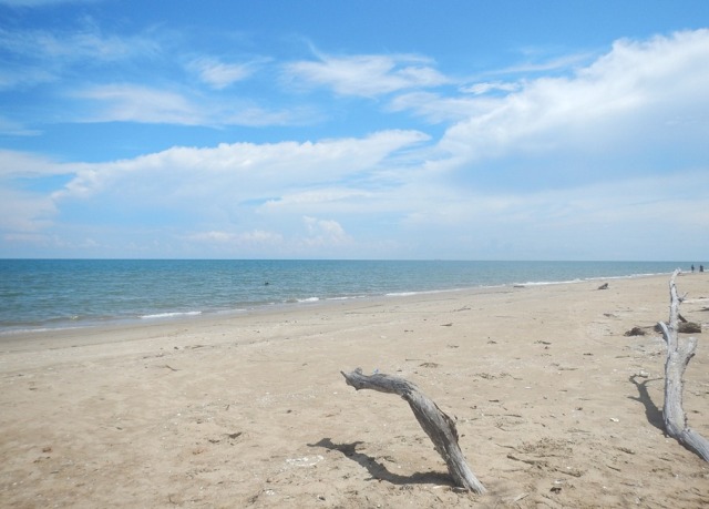aktivitas di pantai asmara, alamat pantai asmara, fasilitas pantai asmara, harga tiket masuk pantai asmara, harga tiket pantai asmara, letak pantai asmara, lokasi pantai asmara, pantai asmara, wisata pantai asmara kalimantan selatan, pantai indah yang masih perawan
