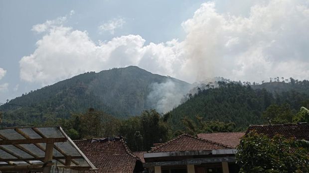 Asap memutih di Gunung Andong di wilayah Kecamatan Ngablak, Kabupaten Magelang yang dilaporkan terbakar, Rabu (8/11/2023)., 1. Gunung Gede-Pangrango (Jawa Barat), 2. Gunung Bromo (Jawa Timur), 3. Gunung Prau (Jawa Tengah), 4. Gunung Kelimutu (Nusa Tenggara Timur), 5. Gunung Papandayan (Jawa Barat), 6. Gunung Andong (Jawa Tengah), 7. Gunung Batur (Bali), 8. Gunung Burangrang (Jawa Barat), 9. Gunung Ijen (Jawa Timur), 10. Gunung Sibayak (Sumatera Utara), 11. Gunung Sindoro, 12. Gunung Tanggamus (Lampung)