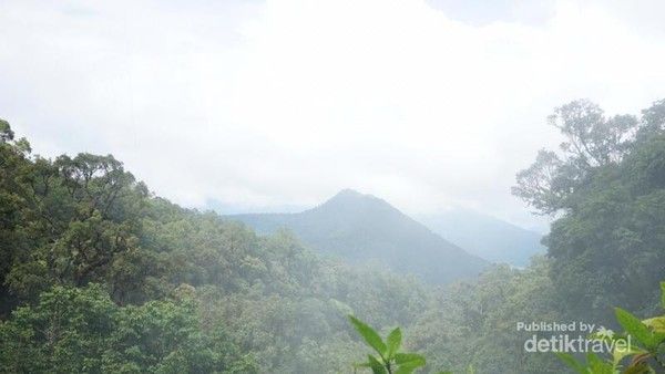12 Gunung di Indonesia yang Cocok untuk Pendaki Pemula