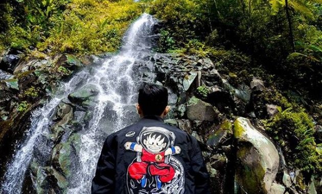 air terjun lawean penampihan di tulungagung, keindahan yang tersembunyi