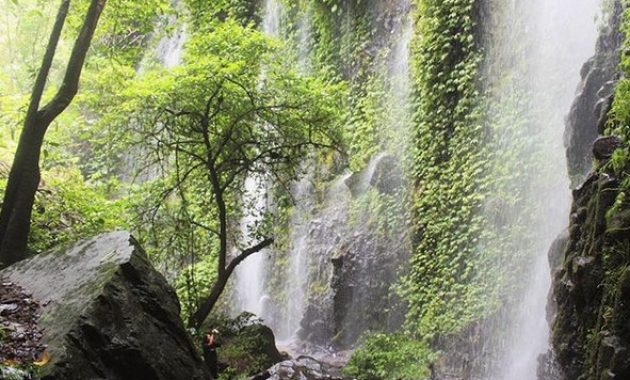 air terjun lawean penampihan di tulungagung, keindahan yang tersembunyi