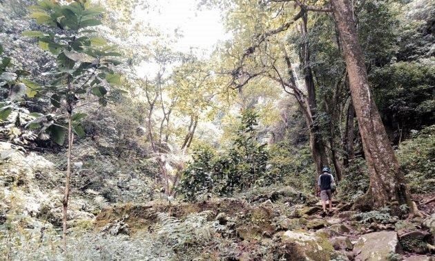 Air Terjun Semirang Ungaran Yang Sejuk