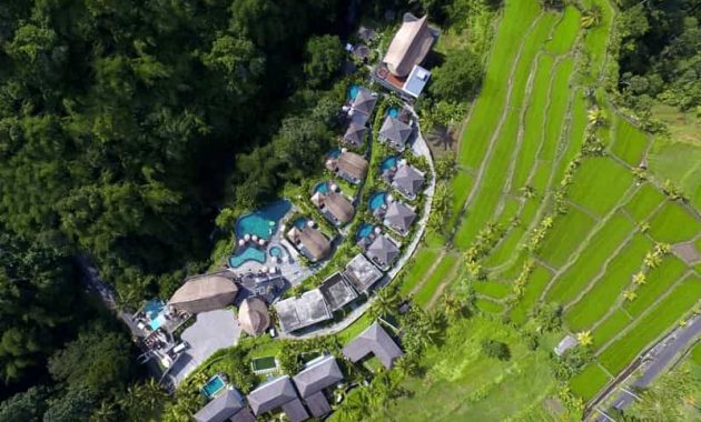 Aksari Resort Ubud, Akomodasi Mewah Cocok Untuk Honeymoon Dengan Pemandangan Hutan Yang Asri