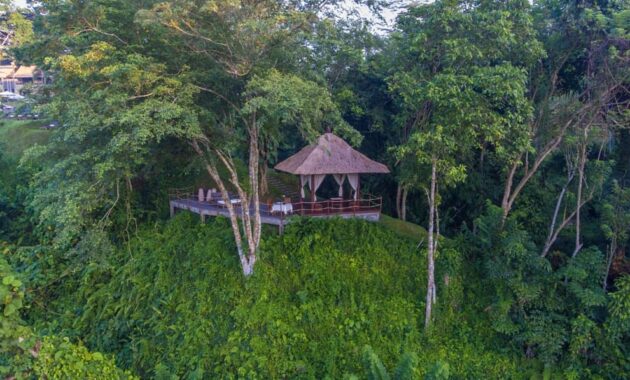 alila ubud, kolam renangnya keren, Banyak Objek, Suasana Hotel,  Fasilitas Yang Ada , Aktivitas Menarik