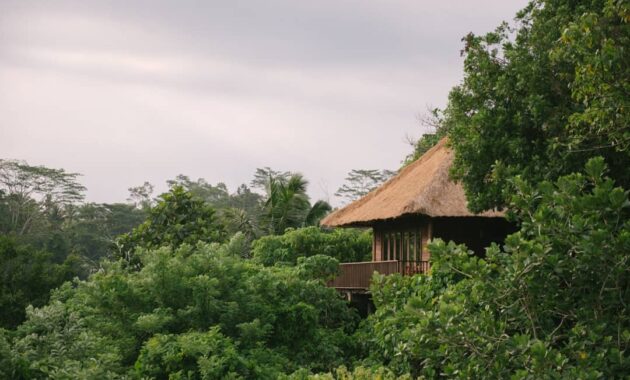 alila ubud, kolam renangnya keren, Banyak Objek, Suasana Hotel,  Fasilitas Yang Ada , Aktivitas Menarik