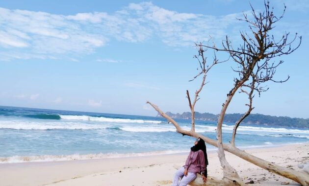 apakah sudah buka atau tutup wisata pantai sendiki malang dan bisakah dilewati mobil?
