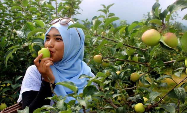 backpacker asyik ke kota batu malang? ikuti 10 panduan ini!