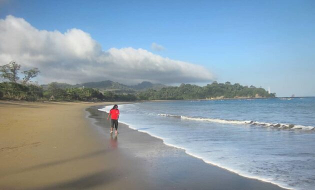 bagaimana akses jalan menuju ke pantai tamban di malang dan berapa harga tiket masuknya?
