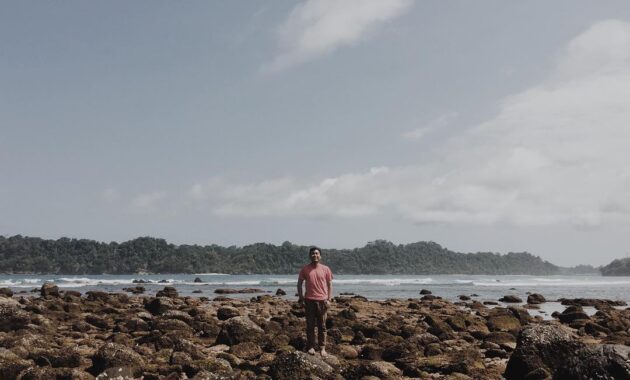 bagaimana akses jalan menuju ke pantai tamban di malang dan berapa harga tiket masuknya?