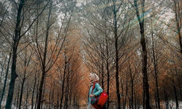 bagaimana akses jalan menuju lokasi pantai ngudel malang selatan dan berapa harga tiket masuknya?