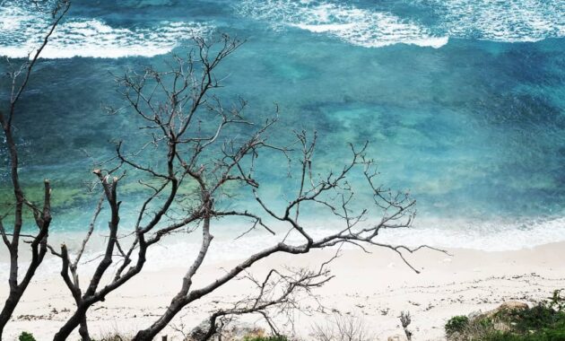 Bagaimana Akses Jalan Menuju Lokasi Wisata Pantai Nyang Nyang Bali, Apakah Boleh Camping?