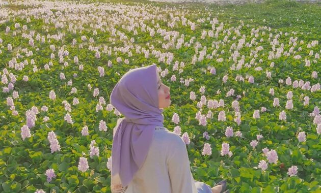 bak seperti di negeri sakura, intip pesona kalinampu natural park bantul, Harga Tiket Masuk, Jalan Menuju Lokasi, Fasilitas, Spot Foto Instagramable, Pesona Kalinampu Natural Park