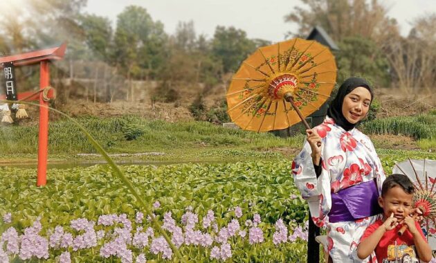 bak seperti di negeri sakura, intip pesona kalinampu natural park bantul, Harga Tiket Masuk, Jalan Menuju Lokasi, Fasilitas, Spot Foto Instagramable, Pesona Kalinampu Natural Park