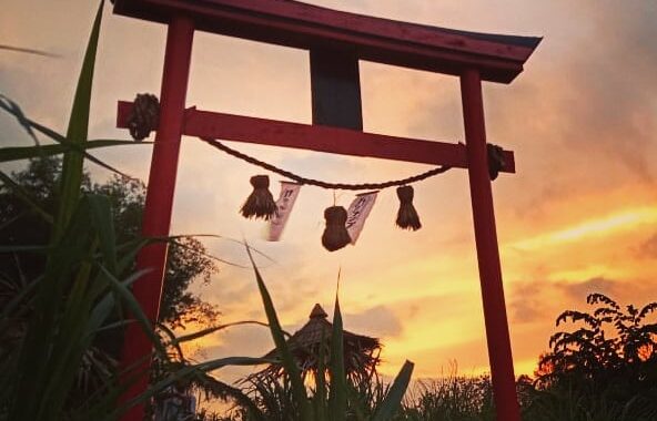 bak seperti di negeri sakura, intip pesona kalinampu natural park bantul, Harga Tiket Masuk, Jalan Menuju Lokasi, Fasilitas, Spot Foto Instagramable, Pesona Kalinampu Natural Park