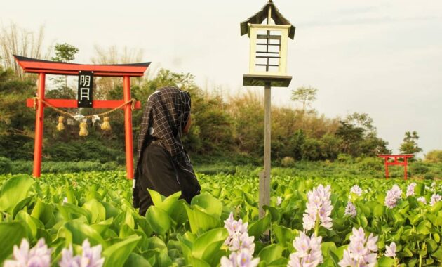 Bak Seperti di Negeri Sakura, Intip Pesona Kalinampu Natural Park Bantul