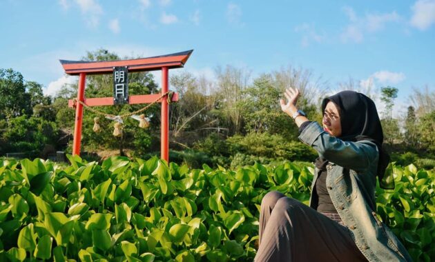 bak seperti di negeri sakura, intip pesona kalinampu natural park bantul, Harga Tiket Masuk, Jalan Menuju Lokasi, Fasilitas, Spot Foto Instagramable, Pesona Kalinampu Natural Park