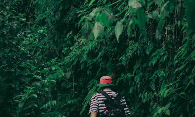 bak seperti kepingan surga, ini dia potret coban cinde malang, Harga Tiket Masuk, Jalan Menuju Lokasi, Fasilitas, Spot Foto Instagramable, Keistimewaan Coban Cinde
