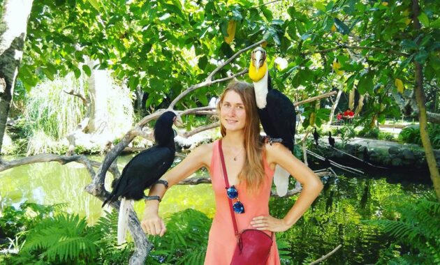 bali bird park, taman burung lokasi di gianyar