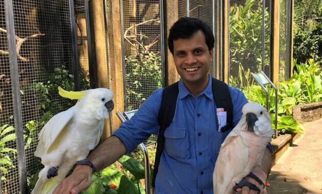 bali bird park, taman burung lokasi di gianyar