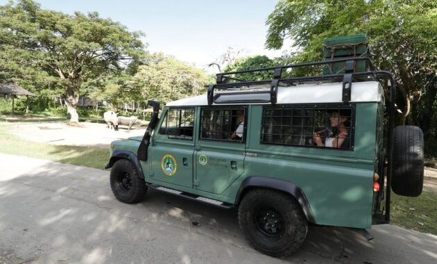 bali safari & marine park bsmp gianyar