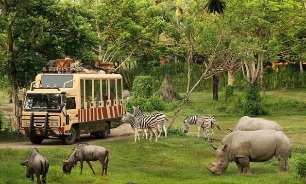 bali safari & marine park bsmp gianyar