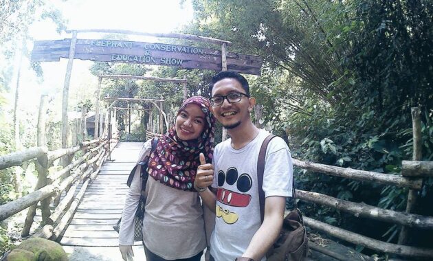 bali safari & marine park bsmp gianyar