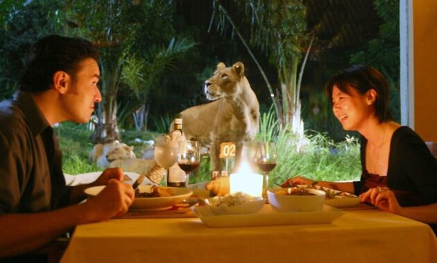 bali safari & marine park bsmp gianyar