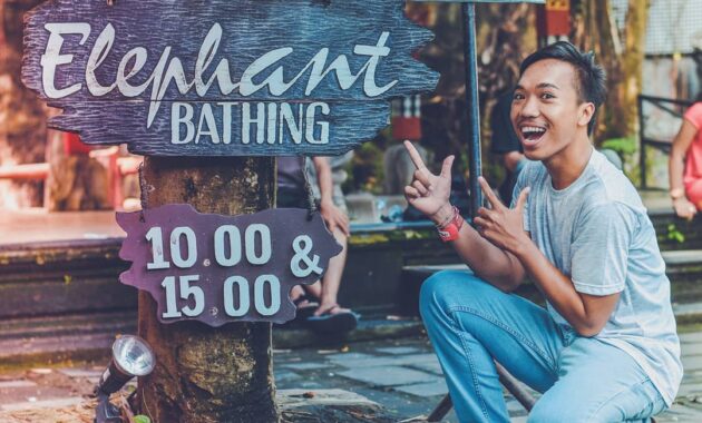 bali safari & marine park bsmp gianyar