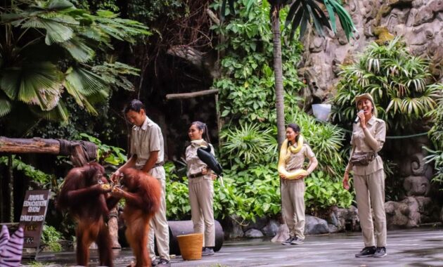 bali safari & marine park bsmp gianyar
