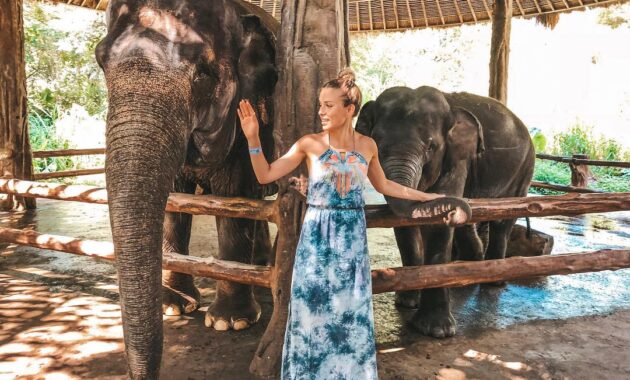 bali safari & marine park bsmp gianyar