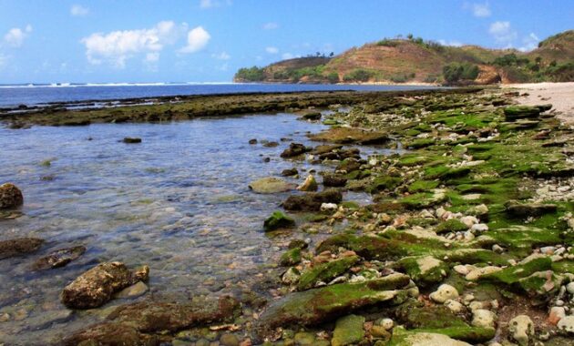 beberapa pantai bagus di blitar dan mana yang bisa dilewati mobil dengan akses jalan mudah?