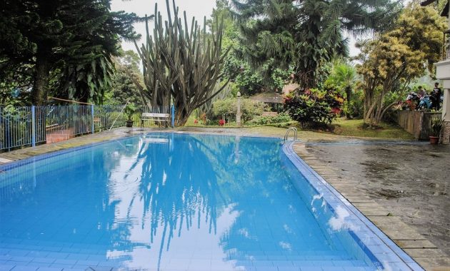 beberapa pilihan villa dekat taman safari indonesia yang harganya mulai dari rp.1.000.000, 1. Omah Gunung, 2. Villa 45, 3. Bumina Ayi I, 4. Villa Safier, 5. Villa Ivanno