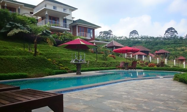 beberapa pilihan villa dekat taman safari indonesia yang harganya mulai dari rp.1.000.000, 1. Omah Gunung, 2. Villa 45, 3. Bumina Ayi I, 4. Villa Safier, 5. Villa Ivanno