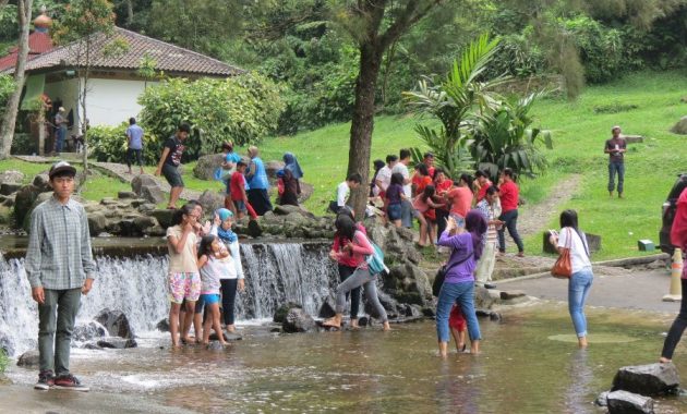 beberapa potret taman bunga sakura di kebun raya cibodas dan berapa harga tiket masuknya?