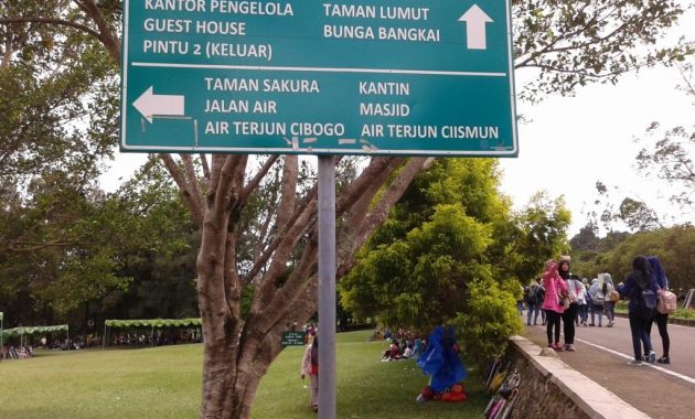 beberapa potret taman bunga sakura di kebun raya cibodas dan berapa harga tiket masuknya?