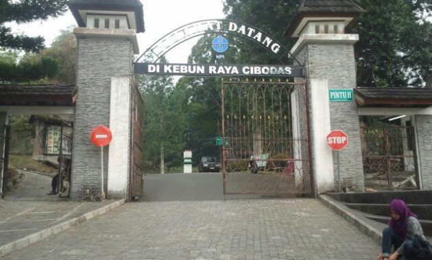 beberapa potret taman bunga sakura di kebun raya cibodas dan berapa harga tiket masuknya?