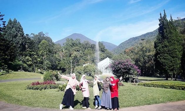 Beberapa Potret Taman Bunga Sakura di Kebun Raya Cibodas dan Berapa Harga Tiket Masuknya?