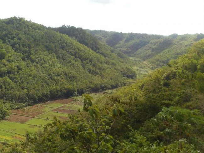 alamat bengawan solo purba, bengawan solo purba, lokasi bengawan solo purba, rute bengawan solo purba, tiket masuk bengawan solo purba tips liburan ke bengawan solo purba, bengawan solo purba: wisata sejarah dengan pesona luar biasa!