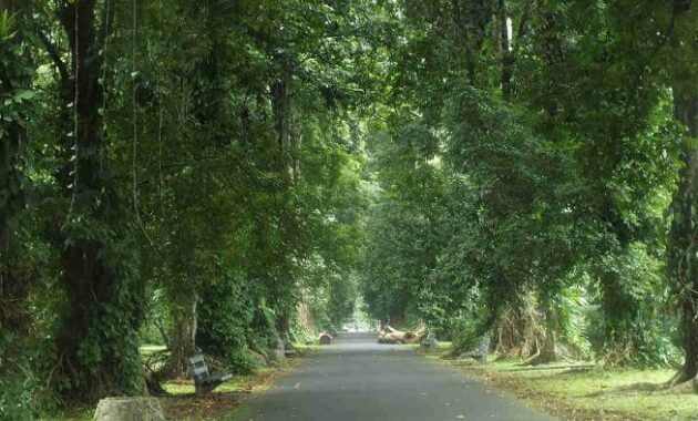 berapa harga tiket masuk kebun raya bogor? ini daftarnya