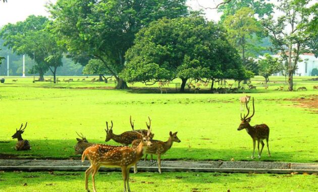 berapa harga tiket masuk kebun raya bogor? ini daftarnya