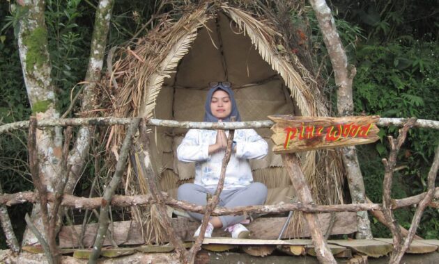 berpetualang ke rumah house the hobbit, House The Hobbit, Keindahan Lokasi, Rute Menuju Lokasi, Harga Tiket Masuk, Fasilitas di The Pinewood