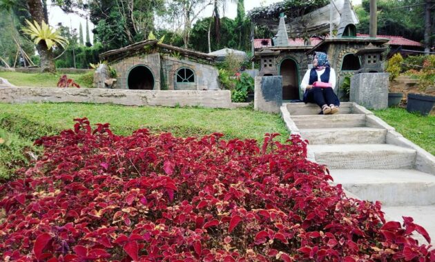 berpetualang ke rumah house the hobbit, House The Hobbit, Keindahan Lokasi, Rute Menuju Lokasi, Harga Tiket Masuk, Fasilitas di The Pinewood