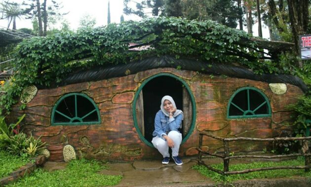 berpetualang ke rumah house the hobbit, House The Hobbit, Keindahan Lokasi, Rute Menuju Lokasi, Harga Tiket Masuk, Fasilitas di The Pinewood