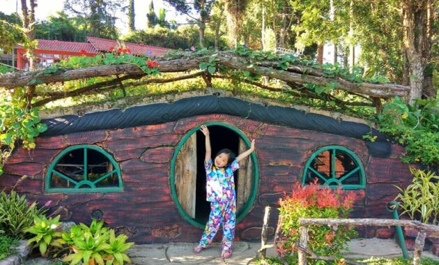 berpetualang ke rumah house the hobbit, House The Hobbit, Keindahan Lokasi, Rute Menuju Lokasi, Harga Tiket Masuk, Fasilitas di The Pinewood