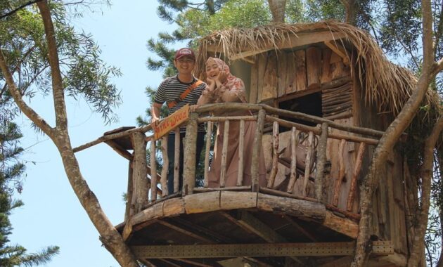 berpetualang ke rumah house the hobbit, House The Hobbit, Keindahan Lokasi, Rute Menuju Lokasi, Harga Tiket Masuk, Fasilitas di The Pinewood