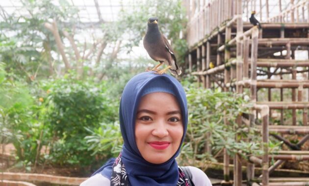 bird park palembang