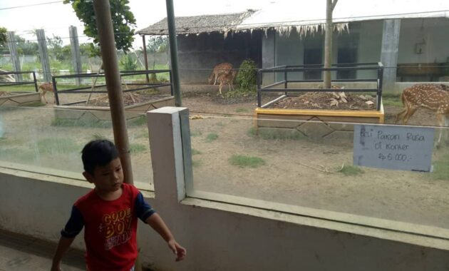 bird park palembang