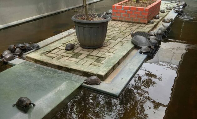 bird park palembang