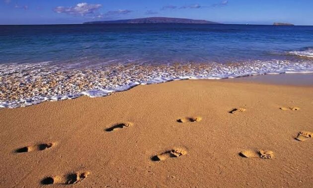 buka jam berapa lokasi wisata pantai ungapan di kabupaten malang dan harga tiket masuknya?, Dua Puluh Pantai, Rute Menuju Pantai , Pesona Keindahan , Harga Tiket Masuk , Fasilitas Yang Ada