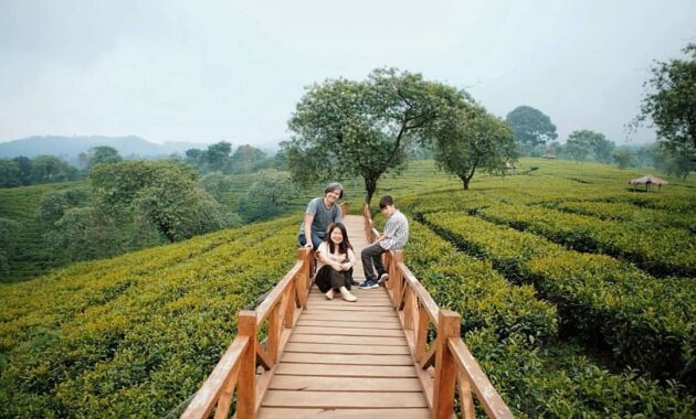 buka jam berapa wisata agro kebun teh wonosari malang dan harga tiket masuk lokasi?